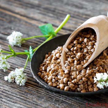 Buckwheat Tea: A Natural Companion for a Healthy Life