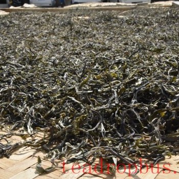 The Benefits of Blended Tea Are Numerous—How Much Do You Know?