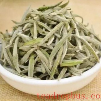 A Complete Guide to Brewing White Tea! No More Worries About Brewing