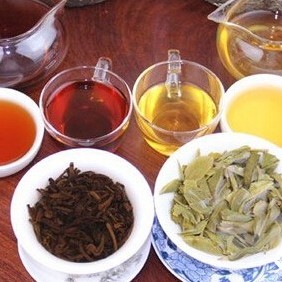 Raw Tea vs. Ripe Tea: A World of Difference!
