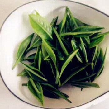 Bitter Ends, Sweet Beginnings: A Good Tea, A Better Life