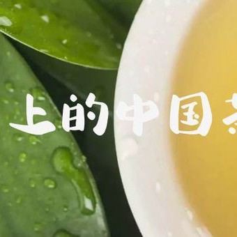 National Intangible Cultural Heritage Representative Project: Pu-er Tea Making Skills, Dayi Tea Making Skills