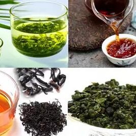 Green Tea, Oolong Tea, Black Tea, Pu-erh Tea: A Comparison of Their Benefits