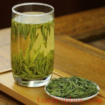 Jintan Queshetea