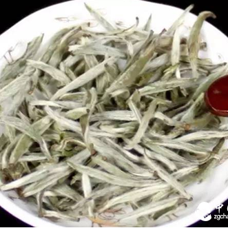 White Tea Can Protect the Liver, Detailing the 4 Major Benefits of White Tea