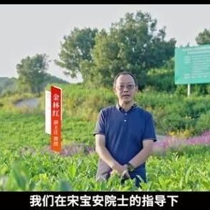Transformation of Tea Gardens into Flower Oceans: Development and Application of Green Pest Management Technologies for Tea Plants