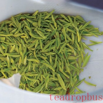 Bazhong: From Barren Hills to Golden Leaves—Farm Women Become Tea Entrepreneurs