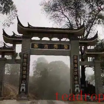 Tea Fragrance in Xishuangbanna – Yi Wu-s Manxiu Village