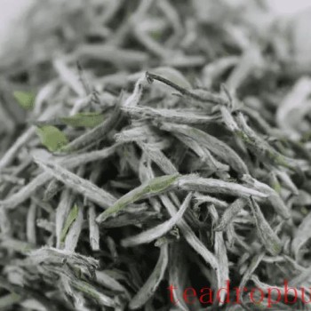How to Brew Baihao Yinzhen (White Down Silver Needle) Tea Best