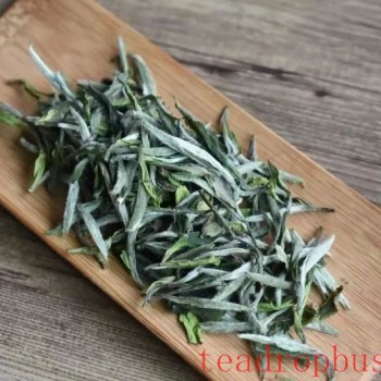 White Tea: The Fresh Aroma of Time