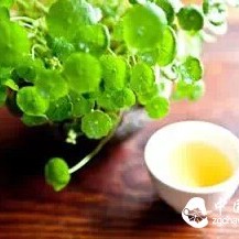 Winter Skin Dryness and Itching, Drinking Tea Can Prevent