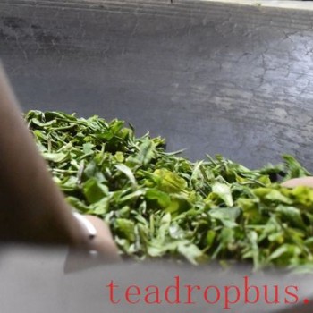 Puer Tea Common Methods of Fixation