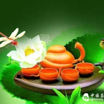 Teach You How to Distinguish the Quality of Tea from 5 Aspects