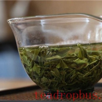 Differences Between Black and Green Tea