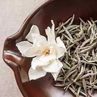 Drinking white tea well is better than cordyceps sinensis!!!