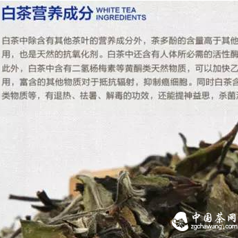 Tea Knowledge – The Art of Brewing Aged White Tea!