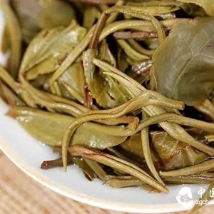 Tea, Whether It Stands Up to Multiple Infusions, Is Determined by These Factors