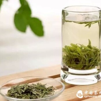 Spring Health Care: Six Teas to Drink