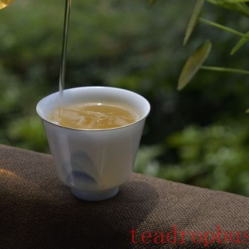 Even Good Tea Fears Being Scalded by Boiling Water! The Right Water Temperature Is Important!