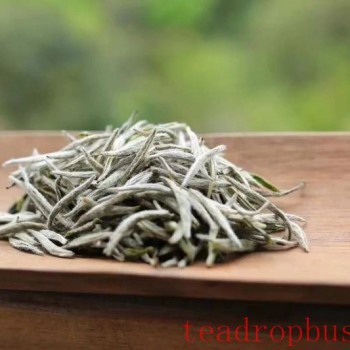 Tasting White Tea, Embracing the Rhythm of Nature