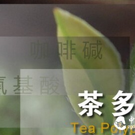 Tea Polyphenols, the Soul of Tea