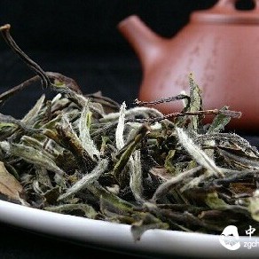 Fuding White Tea with Rich Health Benefits