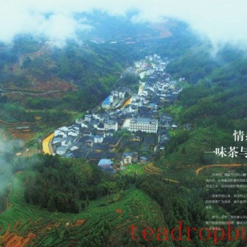 Ties with TanYang: The Legend of a Tea and a Village