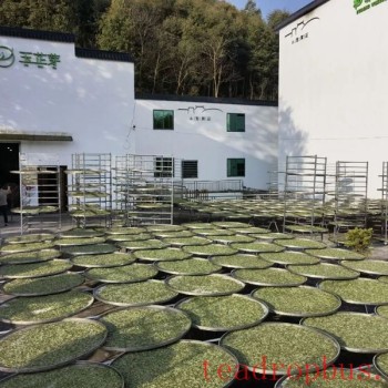 Processing Equipment: Effects of Electric and Charcoal Drying on the Quality of Fuding White Tea