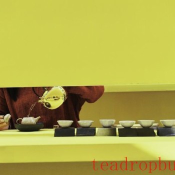 The Allure of Time in Yunnan Large-Leaf White Tea