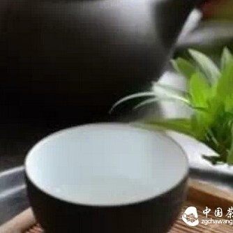 Complete Guide to Tea Knowledge, Master These and You're No Longer a Tea Novice!