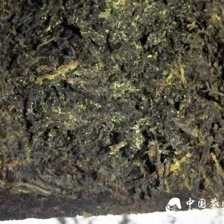 Special Effects of Dark Tea from the Perspective of Traditional Chinese Medicine Theory