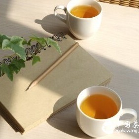 Tea Hot Knowledge, How Much Do You Know?