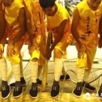 Differences Between Hua Zhuan Tea, Hei Zhuan Tea, and Fu Zhuan Tea