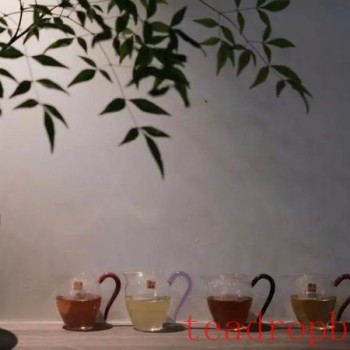 A Pot of Tea Rolls Through the World, Warming the Morning and Evening Clouds of the City