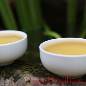 What are the benefits of drinking Pu-er tea for your body?