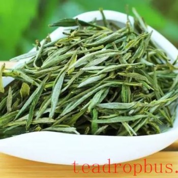 Huoshan Yellow Bud Tea: A Thousand-Year Legacy, Tasting the Charm of Mount Huang