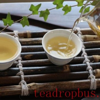Tea is More Than a Beverage; It-s a Companion in Life