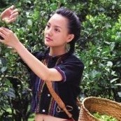 105 Beautiful Names for Tea