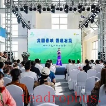A Millennium of Agricultural Civilization: The Fragrance of Xishi Shidian Tea in Changchun