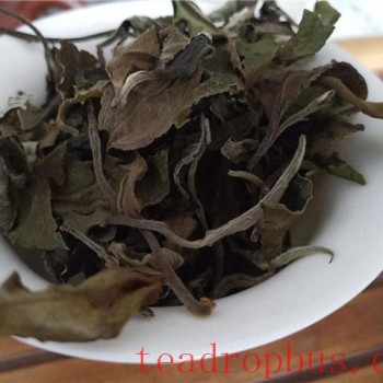 Can a Purple Clay Teapot be Used to Brew White Tea?