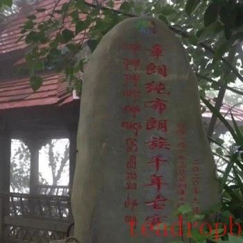 Tea-Aromatic Xishuangbanna Pu-er Famous Mountain: Zhanglang Tea Mountain