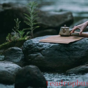 Tasting and Discussing Tea: Wuyi Tea as Described by the Ancients