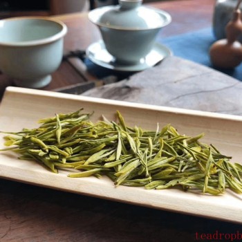 What Type of Tea is Golden Bud? A Rare Panda in the World of Green Teas.