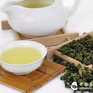 [Tea Taboos] A Comprehensive Guide That Tea Lovers Will Appreciate