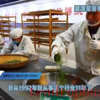 Join the Tea Master to &quot;Fix the Green&quot; of Tea Leaves