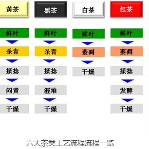 Don't Be Fooled! Essential Knowledge of the Six Major Tea Types