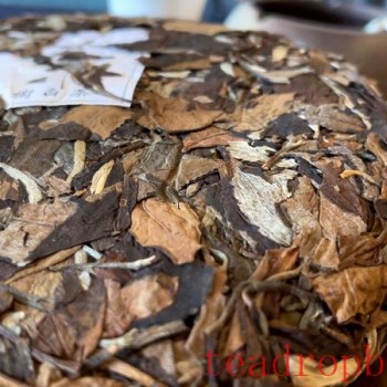 The Benefits and Efficacy of Drinking White Tea