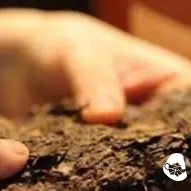 What You Need to Know About Aged Tea Collection: Only Today's Good Tea Can Become Tomorrow's Aged Tea