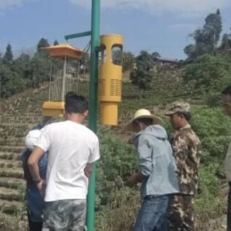 Zuodu Village, Xuelin Township: Conducting Tea Plant Pest Monitoring to Enhance the Quality and Efficiency of Ecological Tea Gardens