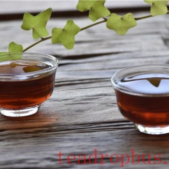 The Timeless Charm of Tea: Savoring the Ambience and Insights in Every Cup